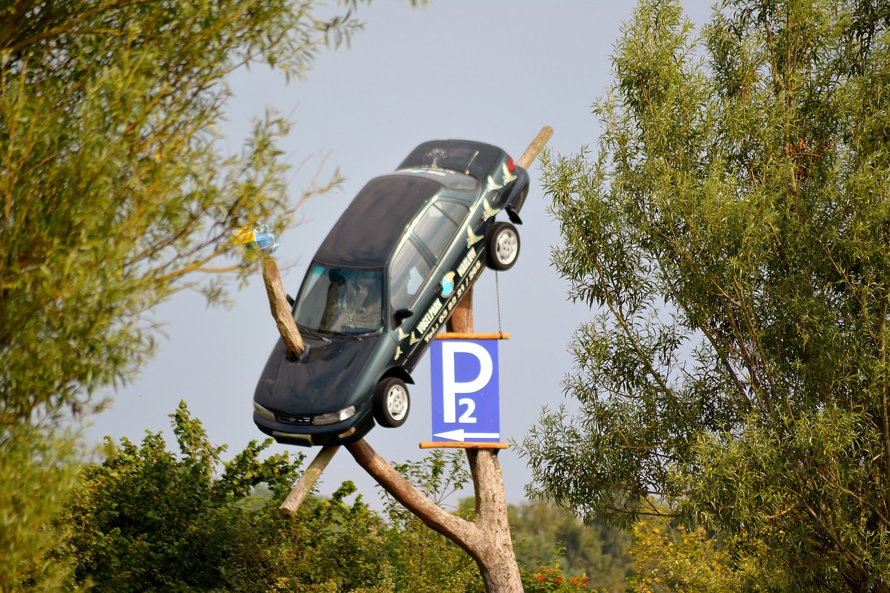 car hanging on a tree with a parking sign